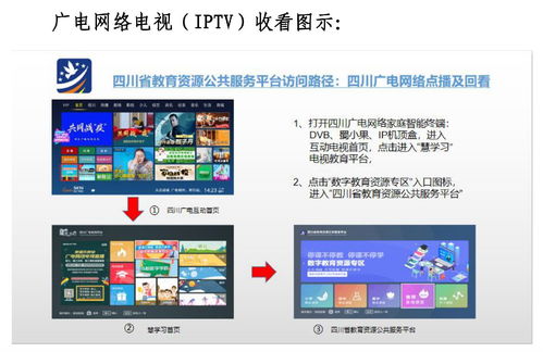 四川省中小學線上學習指導手冊（試用版）——基于成都互聯網信息服務的實踐應用